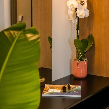 Apartament X Luxury Argostoli (Kefalonia)